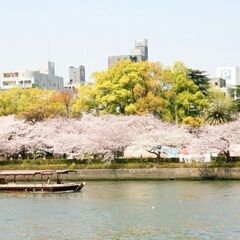 3/31(日)大阪お花見パーティイベント☆関西１巨大お花見100...