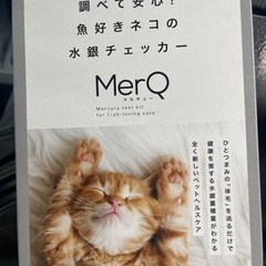 アイコンと水銀チェッカーセットで