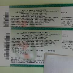 爆ひな 20Powered byFM大阪「なんMEGA」チケット×2枚