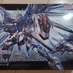 ガンプラ ライジングフリーダムガンダム