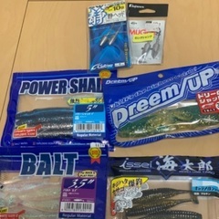 ソルトルアー⭐️