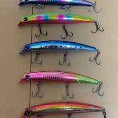 ソルトルアー⭐️