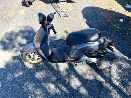 737. ホンダトゥデイAF61 レストアベース実働原付バイク50cc (556 