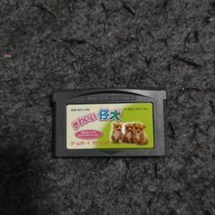 ゲームボーイアドバンスソフト