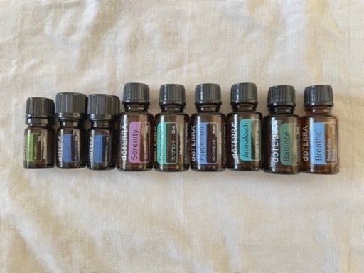 doTERRA 正規品 ドテラキット 箱無し 他社メーカー精油有り - その他 