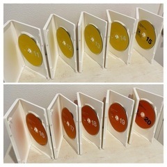 World Wide Kids  DVD 全6巻セット　ワールド