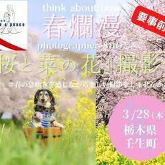【壬生】桜と菜の花愛犬撮影会🈵現在キャンセル待ちです🈵