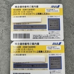 【ネット決済・配送可】ANA株主優待2枚 搭乗期限2024年11...