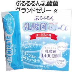 【ネット決済・配送可】ぷるるるん乳酸菌グランドゼリーα  小口24入り