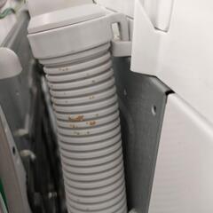 🌈SHARP 洗濯機9kg ES-KSV9E-N  2020年製