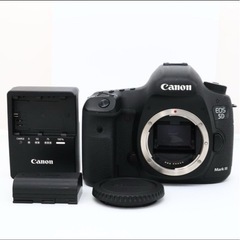 Canon5Dmark3 24-105F4レンズセット