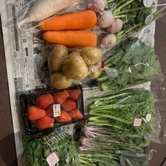 お野菜あります!!近江神宮マルシェに出店します♪♪