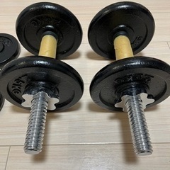 ダンベル、EZバー