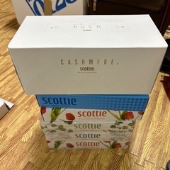 ティッシュ　カシミヤ　SCOTTIE