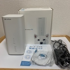 Softbank Air ターミナル4 ソフトバンクエアー