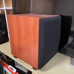 JBL Northridge E Series E250P/100