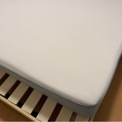 コアラマットレス　クイーン
