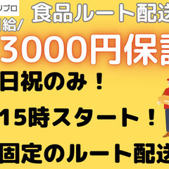 【週1】日曜・祝日のみ！固定のルート配送ドライバーの画像