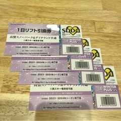 高鷲スノーパーク　ダイナランド　共通リフト券
