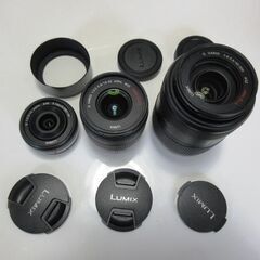 パナソニックデジタルミラーレス一眼レフ