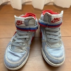 👞NIKEスニーカー/グレー16㎝