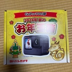 【ネット決済・配送可】新品ヨドバシカメラ　GoPro10の夢
