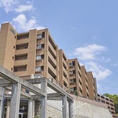 🏡🐶🐈自然素材のフルリノベーション中古マンション　東区松崎🏡🐶🐈
