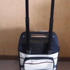 JM18294)スーツケース/キャリーバッグ 幅：約30cm 高...
