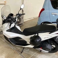 pcx jf81