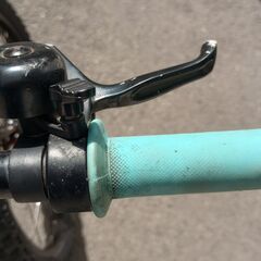 極美品 MARK & LONA カルレオパード総柄タートルネックニットセーター-ヨツバサイクル20インチ