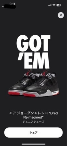 その他 Nike Air Jordan 4 Retro \