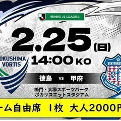 ■J２チケット徳島ヴォルティス対ヴァンフォーレ甲府２月25日（日...