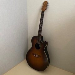Pilgrim アコースティックギター
