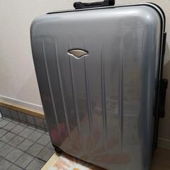 【幸田町】スーツケース