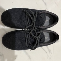 Allbirds メンズ ウールランナーNatural Black