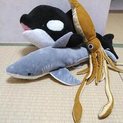 海の生き物ぬいぐるみ