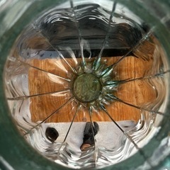 ガラス製の大きめの花瓶