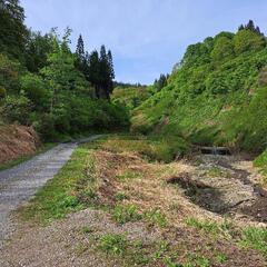 山菜採り一泊体験旅行