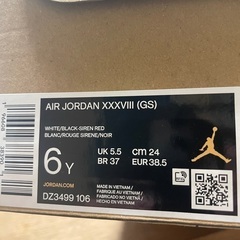 エアジョーダン38 GS