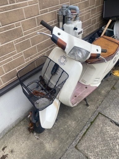 スーパータクト‼️