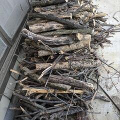 薪、バーベキュー、焚き木あげます。