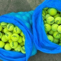 テニスボール(使用済)