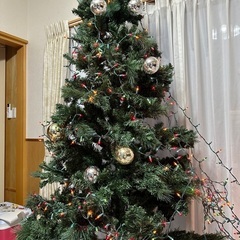 クリスマスツリー特大　2m!