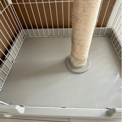 猫のゲージ 持ち帰れる方は値下げします