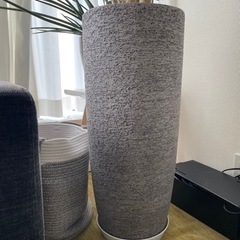 【取引中】ACTUSの鉢に入った植物