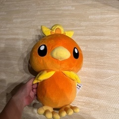 ポケモン　ぬいぐるみ　アチャモ