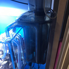 プロテインスキマー (海道達磨)