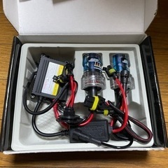 《値下げSALE明日まで》 H11用 HID 10000K