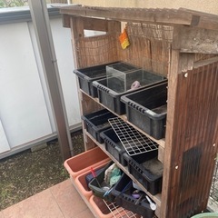 メダカ飼育に