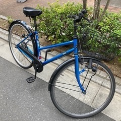 青色が映える自転車